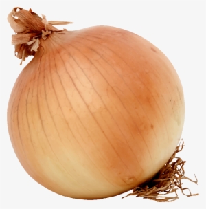 Download Free Onion Images - Onion Png #70512