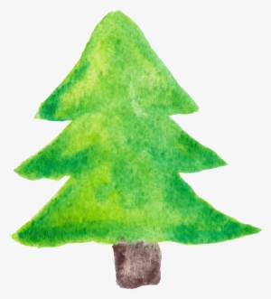 Watercolor Pine Tree Png - Christmas Tree #70513