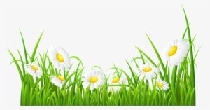 Royalty Free Green Grass Flowers Clipart - White Daisies Clipart #71223
