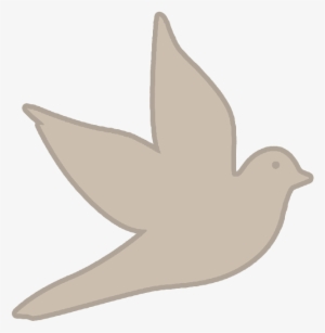 Dove Hunting In Fall - Shooting #71285