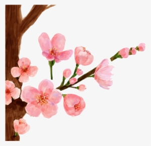 Cherry Painting Spring Peach - Peach Blossom Flower Drawing #71609