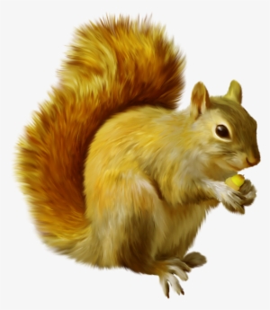 A E D B Xxxl Png - Animals Full Hd Png #71705