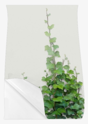 Watercolor Vines, Climbing Plant Poster 23*36 - Wall Backpack By Ivaw #71799