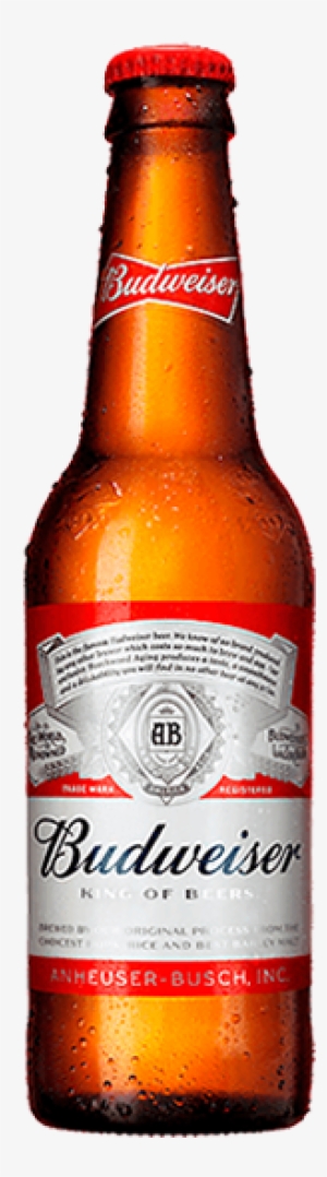 Jpg Transparent Stock Longnecks Pack Ml - Budweiser - 12 Fl Oz Bottle #71826