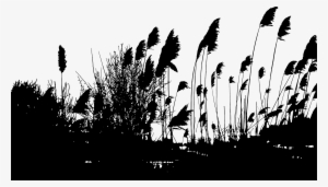 This Free Icons Png Design Of Reeds Silhouette #72077