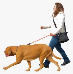 Man Walking Dog Png #72244