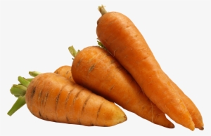 Carrot Png #72517