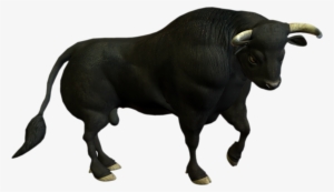 Transparent Free Images Only - Buffalo Png #73015