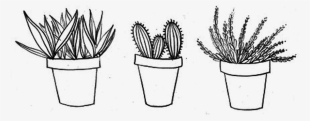 28 Collection Of Plant Drawing Png - Yellow Tumblr Background Aesthetic #73059