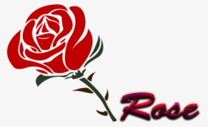 Red Rose #73126 Red Rose #73126