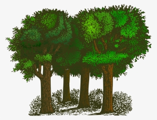 Forest Cartoon Clipart - Trees Of Pride By G. K. Chesterton #73375