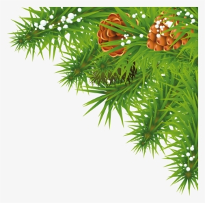 Fir-tree Branch Png Image - Nature Picsart Png Hd #73530