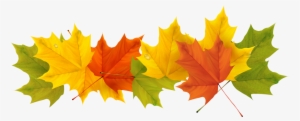Fall Leaves Border Transparent #73639