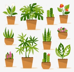 Indoor Potted Plant Png - Indoor Plants #74251