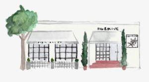 Figolive - Portable Network Graphics #74268