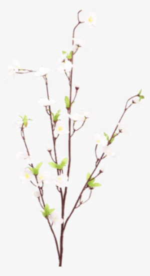 Cherry Blossom White - Twig #74997