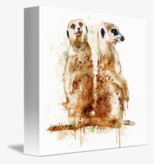 "meerkats" By Marian Voicu, Bucharest // Watercolor - Meerkat Art #75251