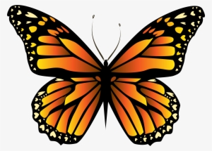 Butterflies Clipart Orange #75713