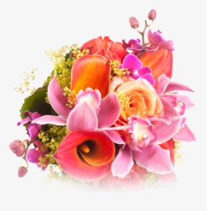 La Multi Ani Ella #75801