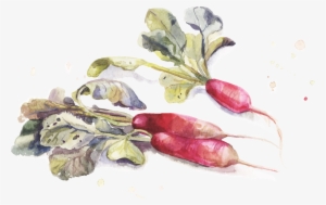 Watercolor Painting Drawing - Watercolor Painting #75850