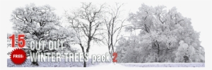 Free Winter Trees Png Pack - Winter Tree Cutout Png #75939