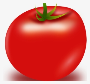 This Free Icons Png Design Of Vector Tomato #75968