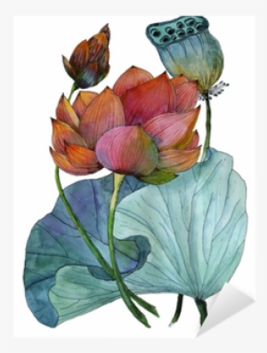 Original Watercolor Painting Of Aquatic Plants Of Lotus - Watercolor Painting #76568