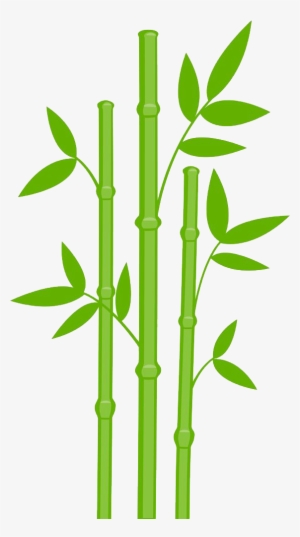 Bamboo Png Designs - Bamboo Clipart #77004