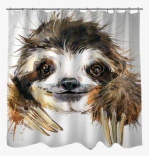Watercolor Sloth Illustration - Watercolor Sloth #77048
