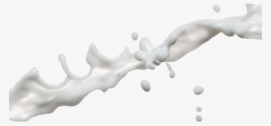 Milk Splash Png Pic - Portable Network Graphics #77368
