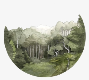 Salt Point State Park, Ca, #77394