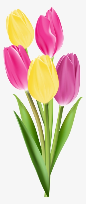 Flower Images, Flower Clips, Flower Art, Flower Crafts, - Yellow Single Tulip Png #77844