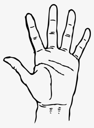 Hand Clipart Png Transparent Hand Clipart Png Image Free Download Pngkey