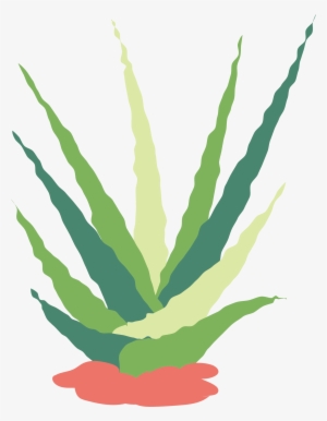 Picture Freeuse Download Cactaceae Succulent Plant - Cactus #78258