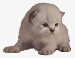 Free Png Kitten Png Images Transparent - Cat #78260