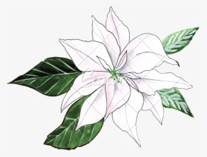 Png Free Download Hand Of Ornament Photos By Canva - Watercolor Painting #78281