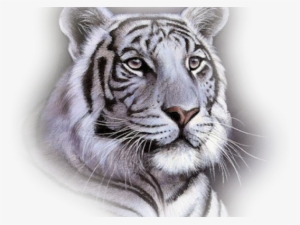 White Tiger Face Throw Blanket #78375