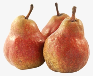 Pear Fruit Png Transparent Image - Png Fruit #78557