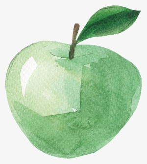 Picture Download Apples Transparent Watercolor #78627