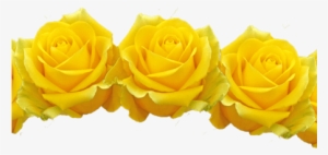 Beautiful Flowers Filter Various Pictures Of The - Transparent Yellow Flowers #78784