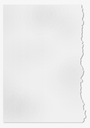 Torn Paper Vector Png #79568