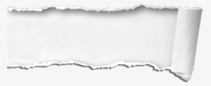 Ripped paper isolated 11571074 PNG