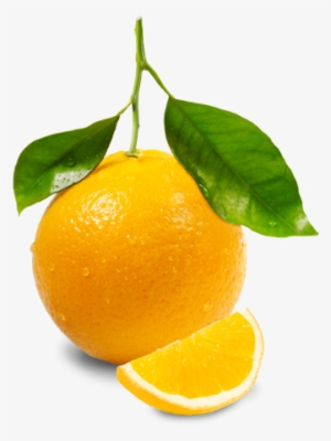 Orange Juice Png #79852