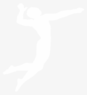Why Ivc - Cafepress Volleyball Evolution Curtains #701701