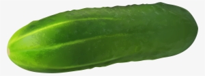 Gherkin Transparent Png Clip - Cucumber Clipart With Transparent Background #702023