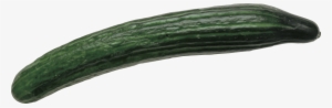 Free Png Cucumber Png Images Transparent - Cucumber Png #702184
