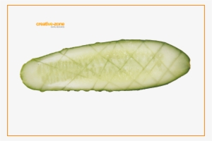 Cucumber - Creative-zone - Cucumber #702929