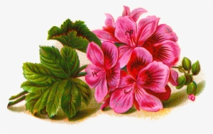 Png Image Plus Matching Stationery, Journal Card And - Lined Music Paper With Flower Journal #703383