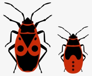 Fireflies And Nymphs - Fire Bug Clipart #704615