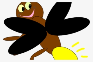 Clip Transparent Library Picture Of Firefly Bug K Pictures - Clip Art #704898